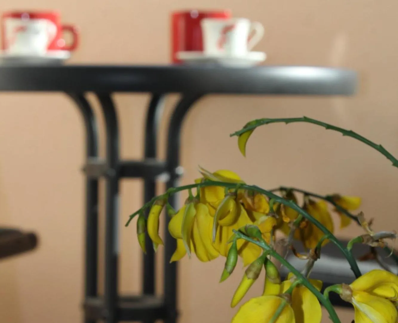 Guest house Villa Beni Osmenaj Vlore